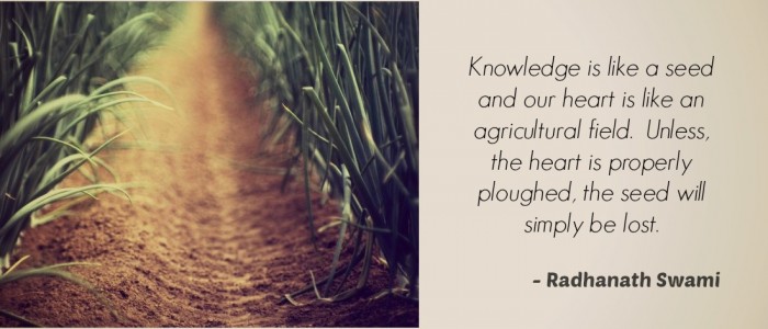 Radhanath Swami on knowledge